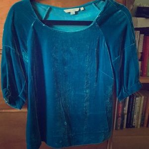 Light blue velvet top